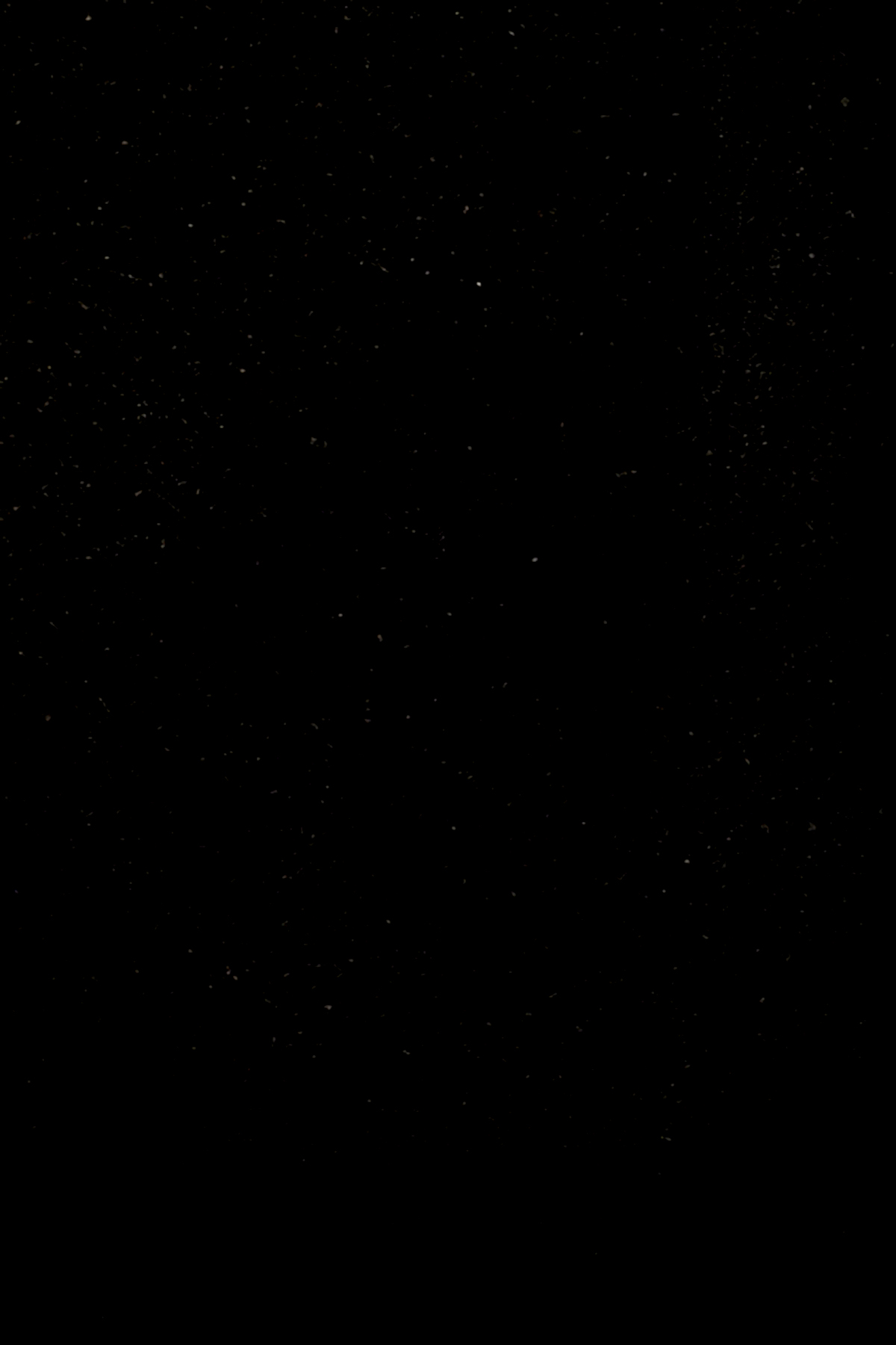 JADAVPUR BISWABIDYALAYER UPACHARYA GOPAL SEN HATYA preview 2